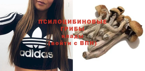 a pvp Алексин