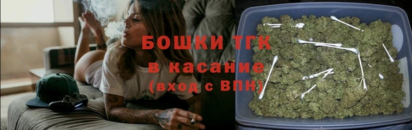гидра Алексеевка