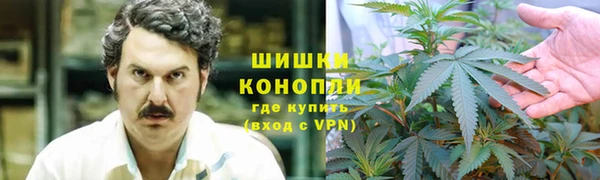 гидра Алексеевка