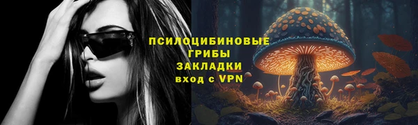 гидра Алексеевка