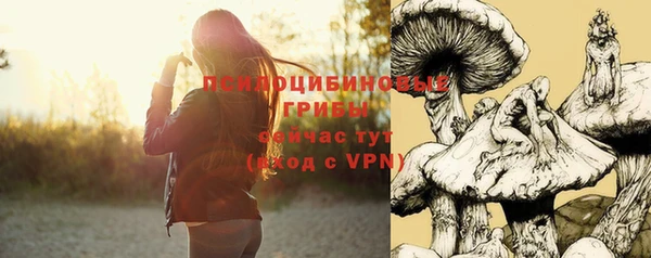 a pvp Алексин