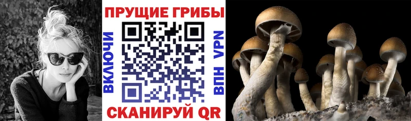 Галлюциногенные грибы Magic Shrooms  Бахчисарай 